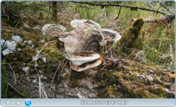 0_e3558_c5107c50_orig.png