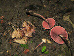 0_782bc_aa12ebb2_S.jpg