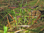 0_79ed7_d7ab1601_S.jpg