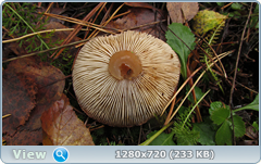 0_f276c_574795b4_orig.png