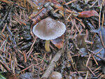 0_79f2e_37b6245d_S.jpg