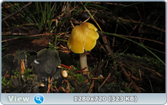 0_e6d11_bb437da9_orig.png