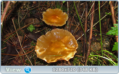 0_e6d19_5d668d35_orig.png