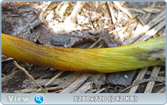 0_eab87_a329f806_orig.png