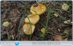 0_ef35b_ce4254a9_orig.png