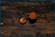 0_d2454_733cef28_orig.jpg