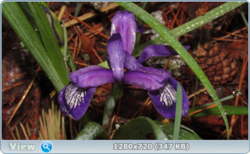 0_e38ec_f89d15e5_orig.png
