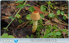 0_eab3d_caa463b0_orig.png