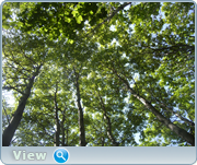 0_130d70_cdf4f0de_orig.png