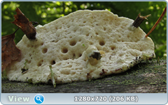 0_e94fa_f9f74317_orig.png