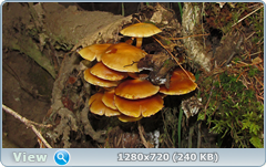 0_e6b86_62e65c5c_orig.png