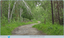 0_e7871_c4f545a9_orig.png