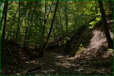 0_edef4_99cf6048_orig.jpg
