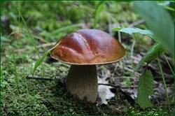 0_128526_b6c14ab2_orig.jpg