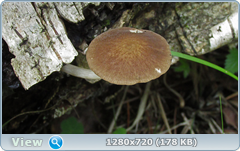 0_1097fd_1c93b4e4_orig.png