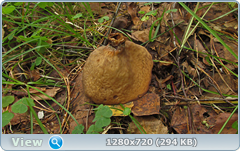 0_10f321_b4131dea_orig.png