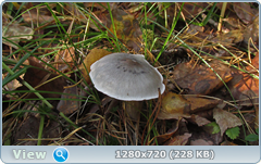0_113396_12741b0_orig.png