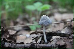0_121807_ba942999_orig.jpg