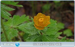 0_105941_109a5d27_orig.png