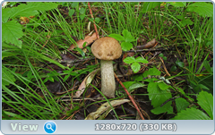 0_10c4c8_7e7c6237_orig.png