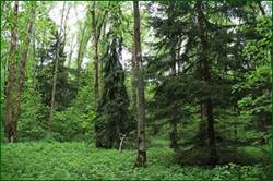 0_121821_81546a95_orig.jpg