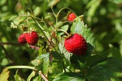 0_128773_380189a3_orig.jpg