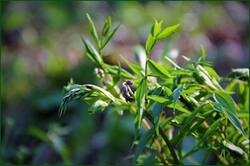0_140381_5b3f1e96_orig.jpg