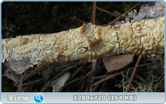 0_1027ff_104f3652_orig.png
