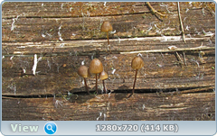 0_103ccb_cf70356_orig.png
