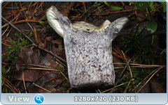 0_10b52e_a5299552_orig.png