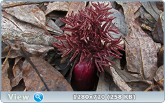 0_103cdb_c2c07cad_orig.png