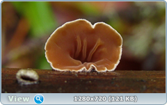 0_105961_b15bafea_orig.png