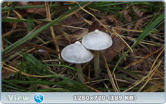 0_113358_a918d170_orig.png