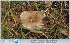 0_1150aa_2cea65b0_orig.png