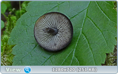 0_fb752_b222fd78_orig.png