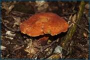 0_d2b10_14a033c7_orig.jpg