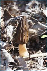 0_cc998_33115d86_orig.jpg