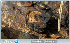 0_fb6b9_f6931d3a_orig.png