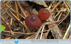 0_eab37_1ece76d4_orig.png