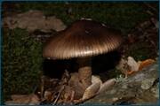 0_d2402_ccc45749_orig.jpg