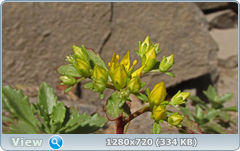 0_e745a_72b0d303_orig.png