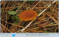 0_f3e3a_201a5ba5_orig.png