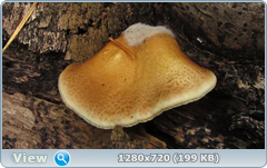 0_10735b_6ce331aa_orig.png