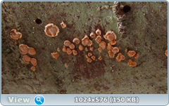 0_1242cc_ba48e7a1_orig.png