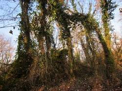 0_4133f_a82471e6_M.jpg
