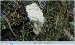 0_e3538_21bde4c9_orig.png