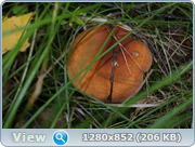 0_d4c32_12bcfe8_orig.png