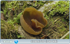 0_e95b2_eb50f46f_orig.png
