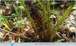 0_e353e_90996bc4_orig.png