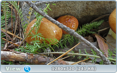 0_ea450_452ce9f3_orig.png